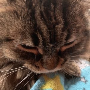 Meet your Posher, Jamee